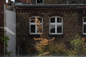 IMG_0972