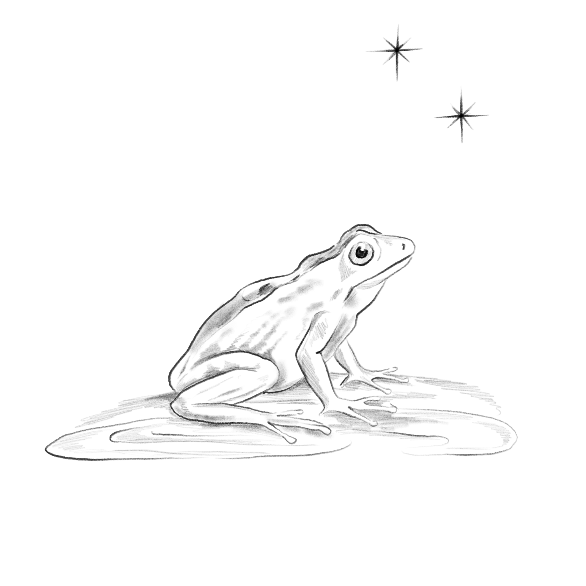 Unbenanntes_Projekt 42