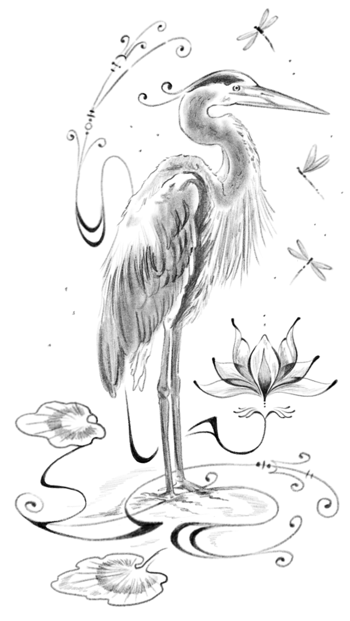 Unbenanntes_Projekt 5